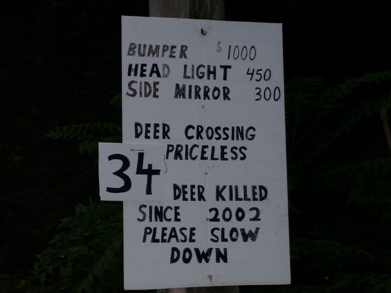 Funny Deer Pictures. Funny deer sign #3