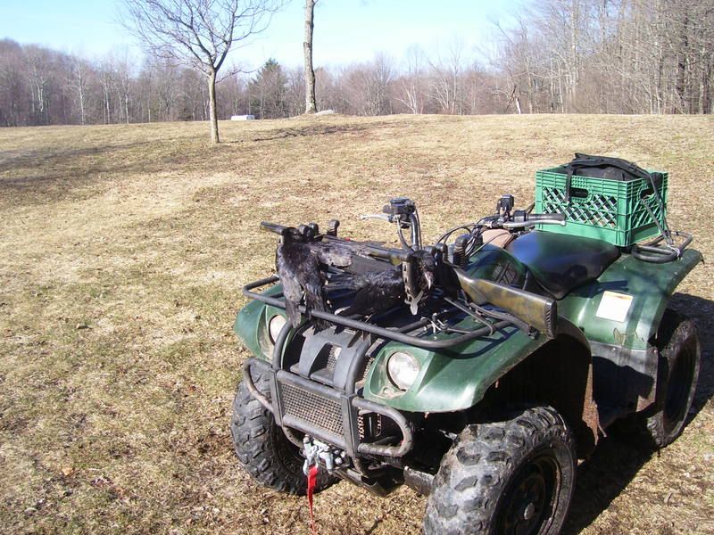 quadwithcrows.jpg