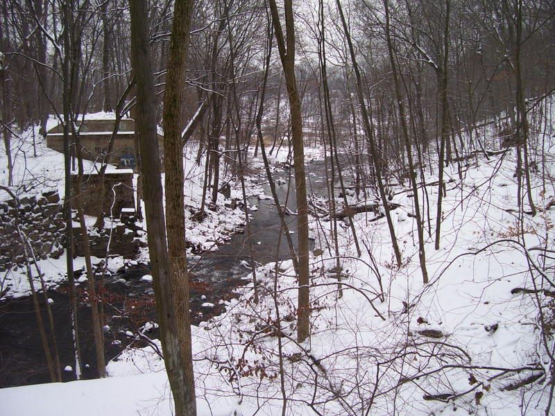 streambehindhouse.jpg