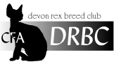 Devon+rex+breed+club