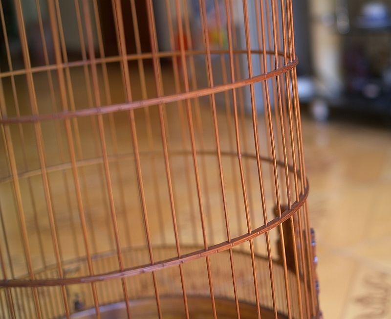 HCM-Bán lồng Huế chạm bát tiên 56 nan form cao - 13