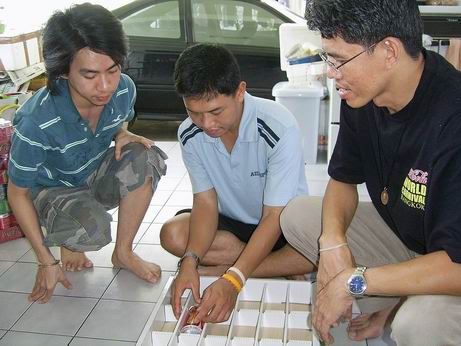 รูปภาพ