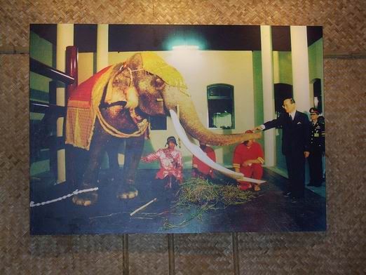รูปภาพ