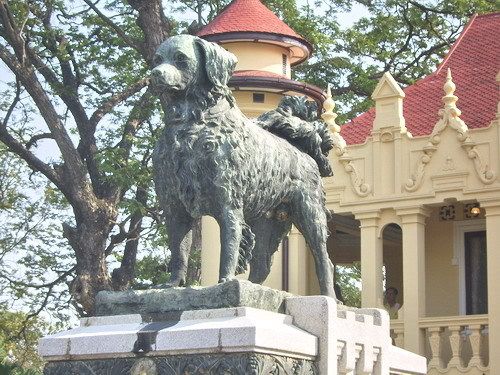 รูปภาพ