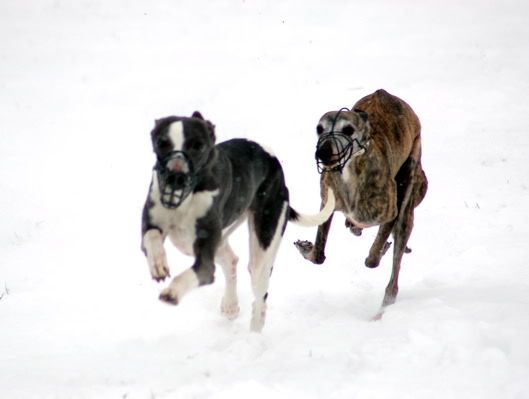 DSC_0024_1.jpg