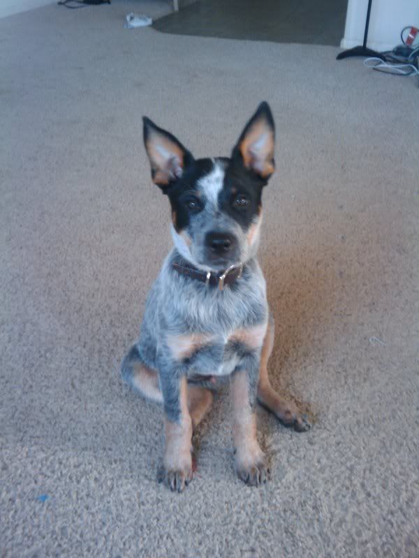 IMAGE: http://i9.photobucket.com/albums/a52/nced_12/2009-08-21091210.jpg