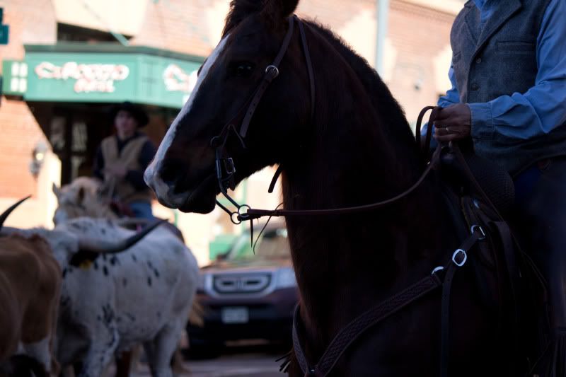 IMAGE: http://i9.photobucket.com/albums/a52/nced_12/IMG_0732-2.jpg