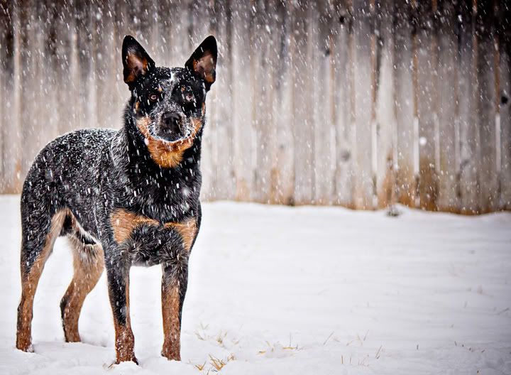 IMAGE: http://i9.photobucket.com/albums/a52/nced_12/IMG_0866-21fb.jpg