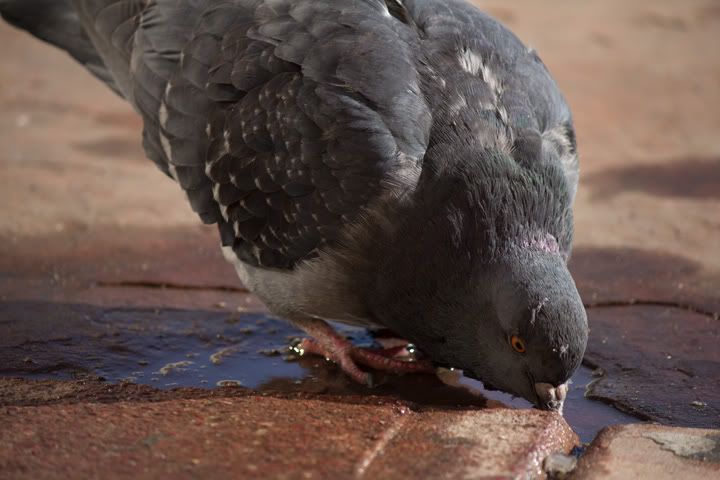 IMAGE: http://i9.photobucket.com/albums/a52/nced_12/IMG_1040.jpg