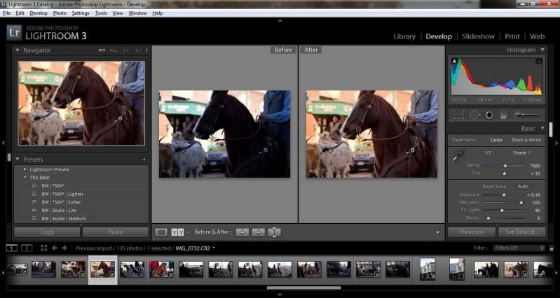 IMAGE: http://i9.photobucket.com/albums/a52/nced_12/RawEditing.jpg