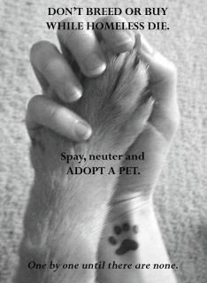 dontbreed.jpg picture by CeciliaM