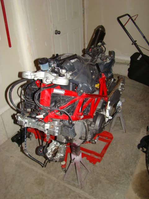 DSC05515.jpg