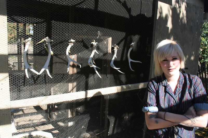 Photobucket - Video and Image Hosting