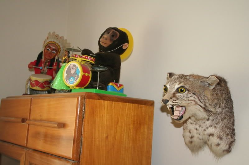 Photobucket - Video and Image Hosting