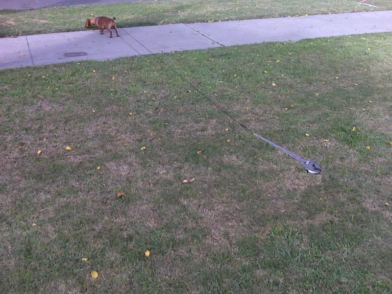 Photobucket - Video and Image Hosting