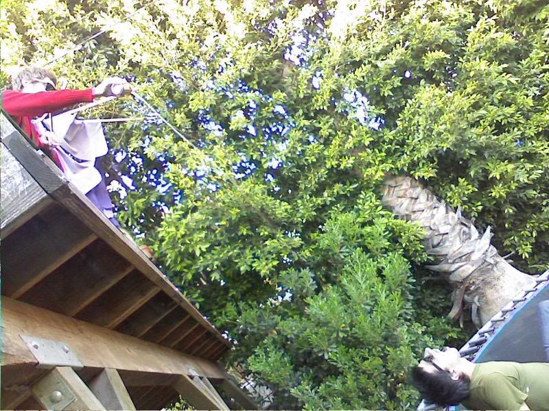 Photobucket - Video and Image Hosting