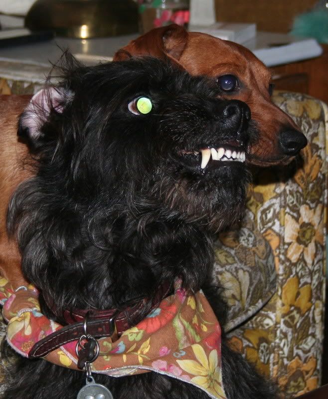 Photobucket - Video and Image Hosting