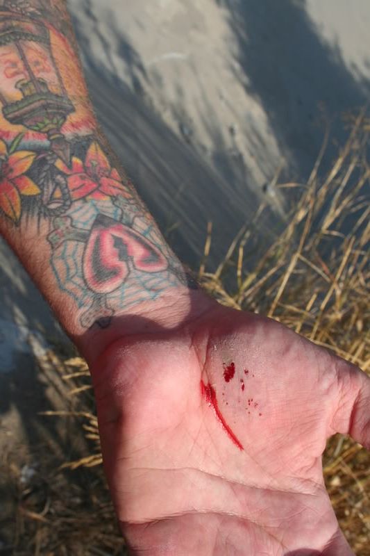 Photobucket - Video and Image Hosting