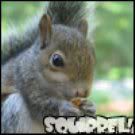Oh My Tree-Climbing Friends .. photo 6deecd6f.jpg