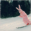  photo SnowBunny.png