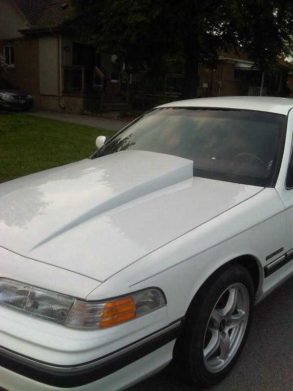 Hood Scoop? Body and Interior