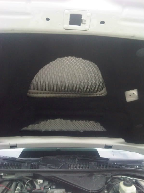 Hood Scoop? Body and Interior