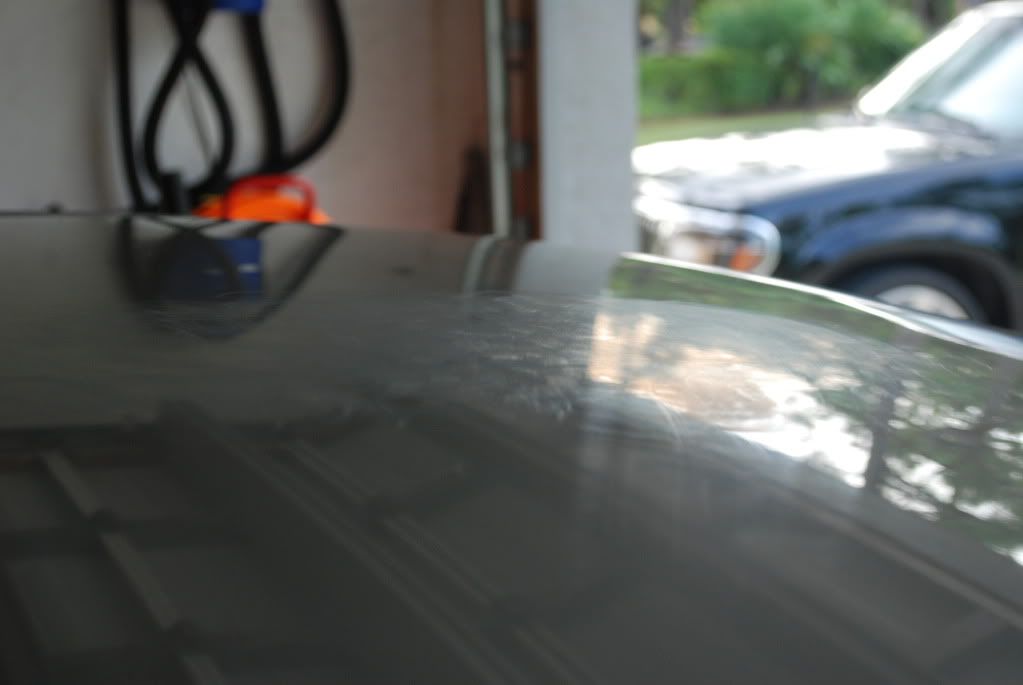 DSC_3623.jpg