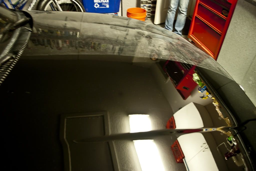 DSC_4526.jpg