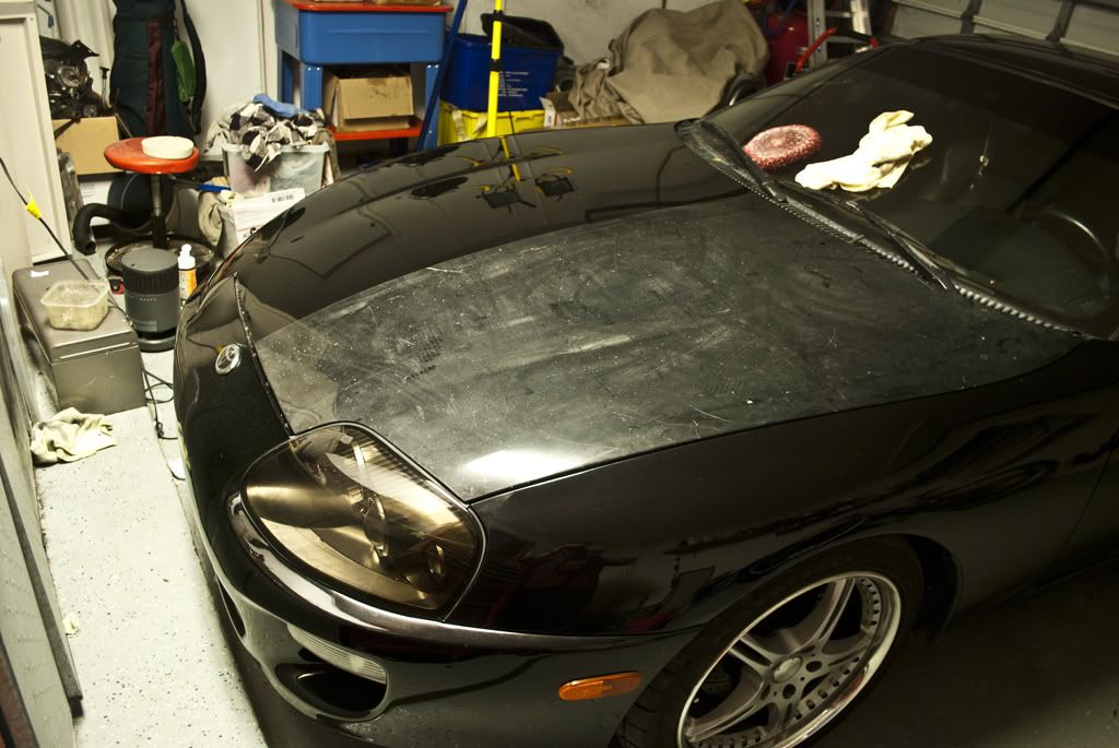 DSC_4529.jpg