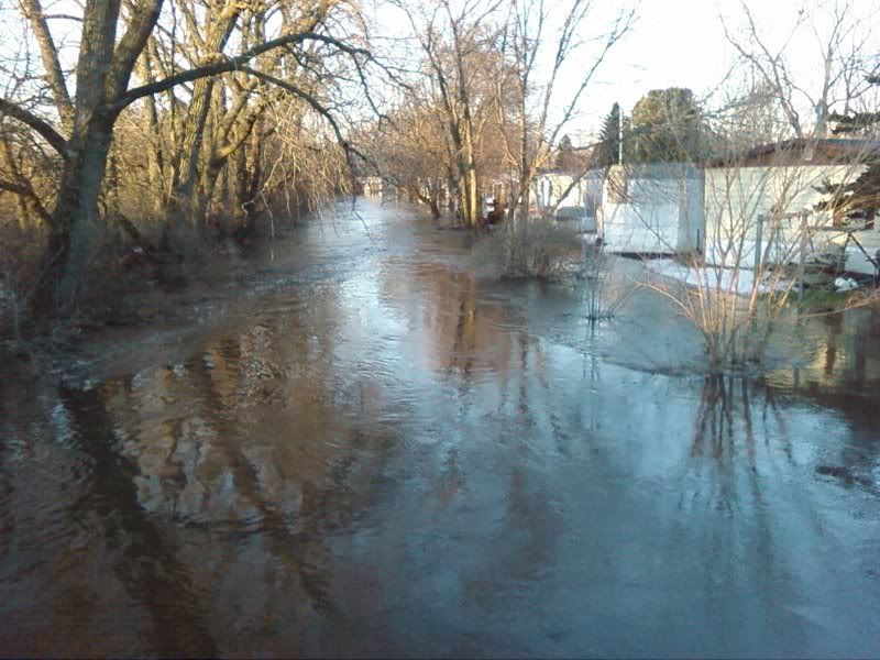 The official IL weather thread (Chicago, Warrenville cold weather