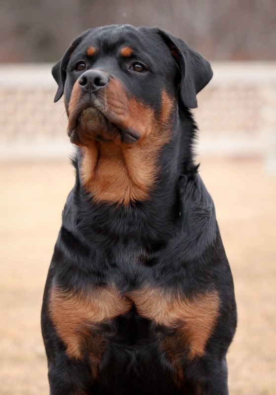 IMAGE: http://i9.photobucket.com/albums/a56/murph_5/074.jpg