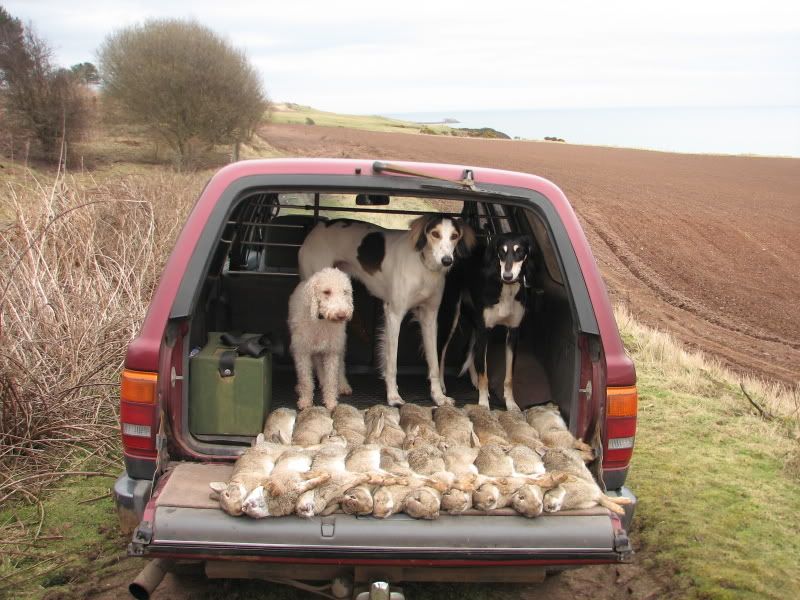 ferreting139.jpg