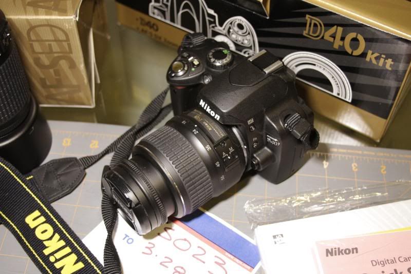 2954508a.jpg