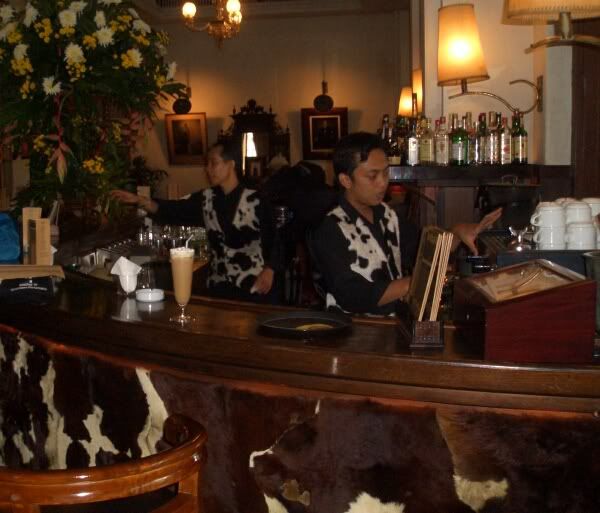 bataviacows.jpg
