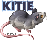 premade_grey_kitie.png