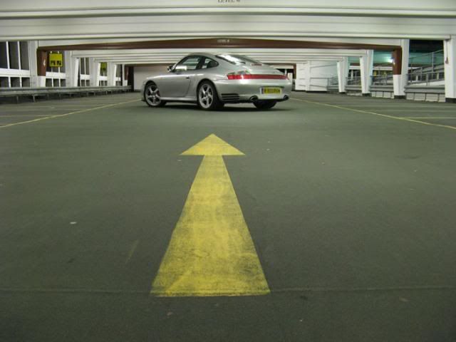 IMAGE: http://i9.photobucket.com/albums/a60/johnrpics/Bruce/gosnap1.jpg