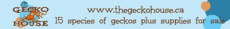 The Gecko House