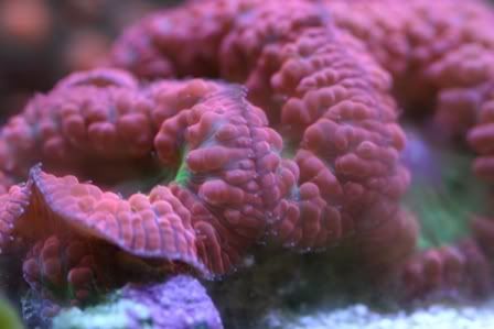 Testpic025.jpg