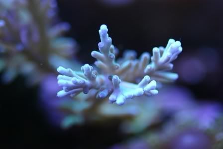 Testpic1011.jpg
