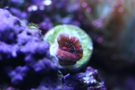 Testpic1013.jpg