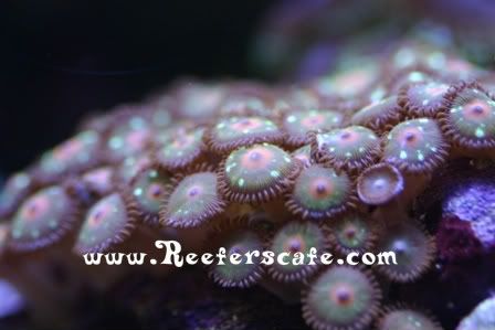 Testpic1014.jpg