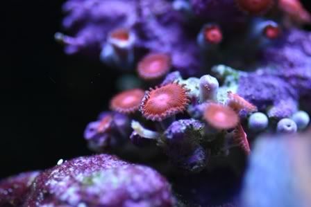 Testpic1027.jpg