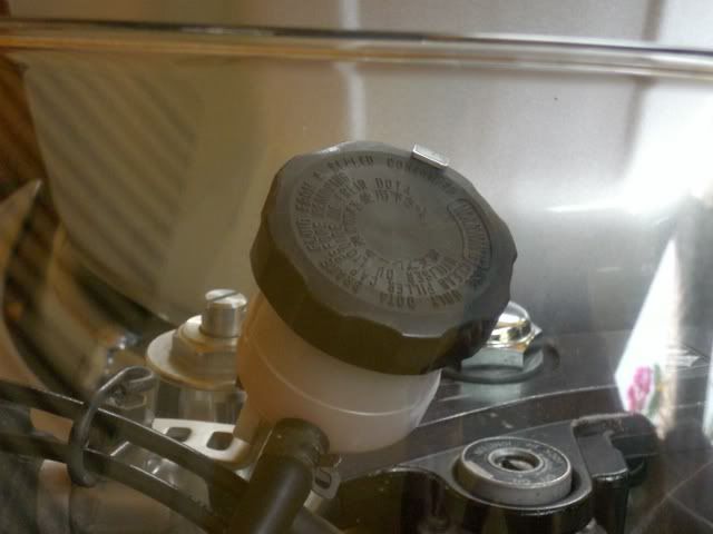 CIMG0548.jpg