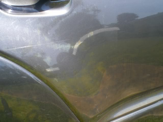 CIMG0559.jpg