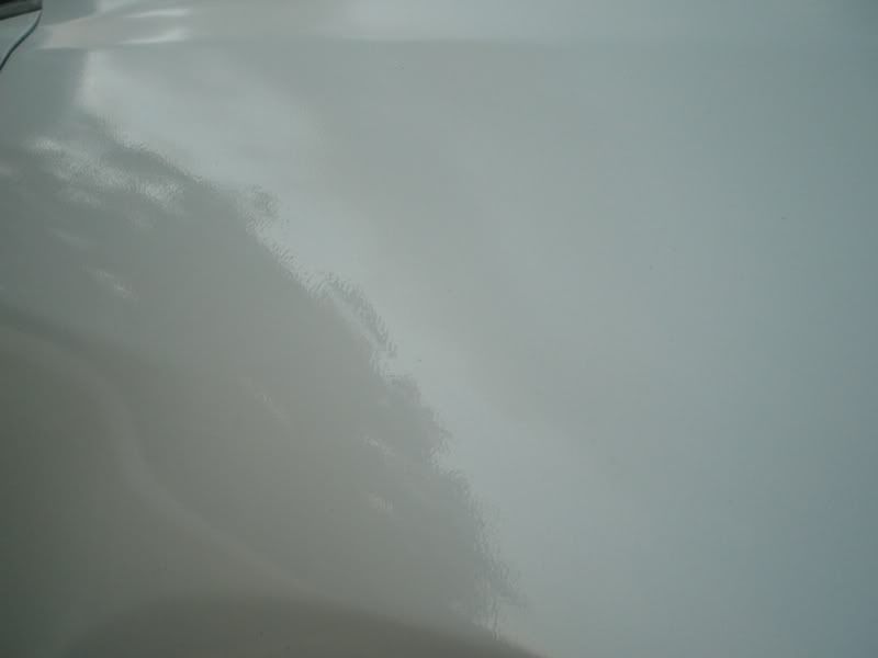 CIMG0428.jpg