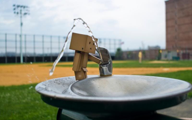 Danbo Drinking Wallpaper