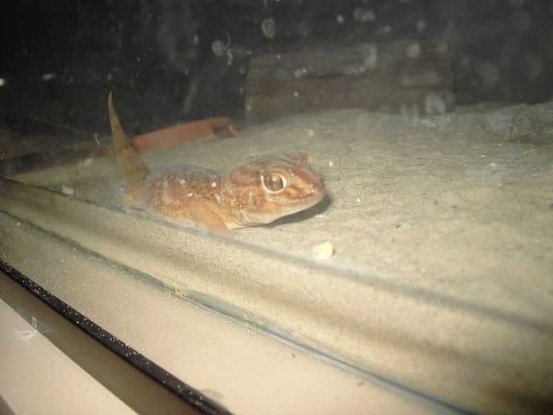 PICT0371.jpg