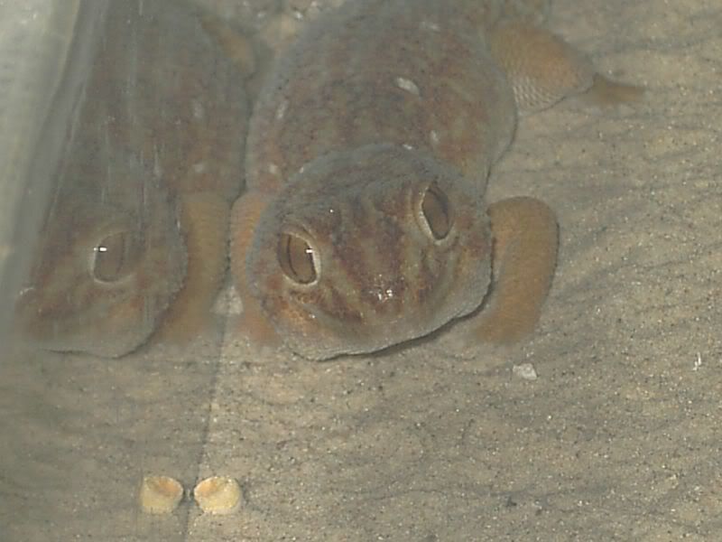 PICT0378.jpg