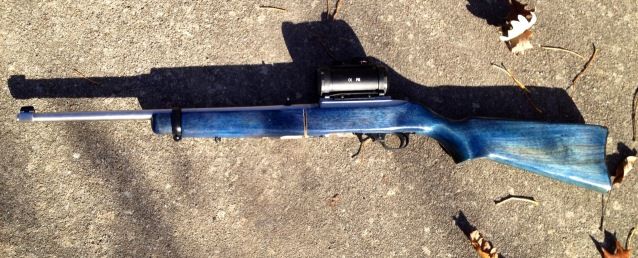 Ruger 10 22 takedown stock options