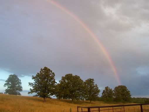 Got my camera working........ - Goats